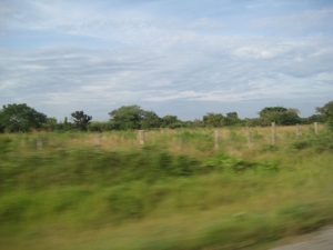 on our way to Paara near Masindi
